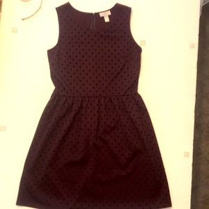 LOFT dress size 2